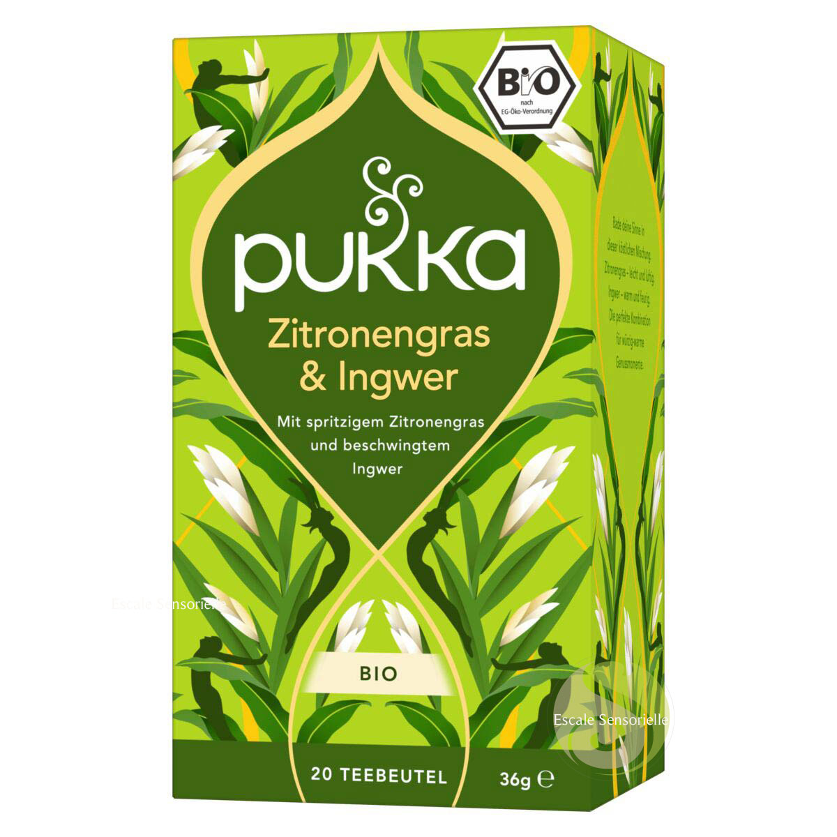 Tisane pour la concentration Pukka bio citronnelle et gingembre