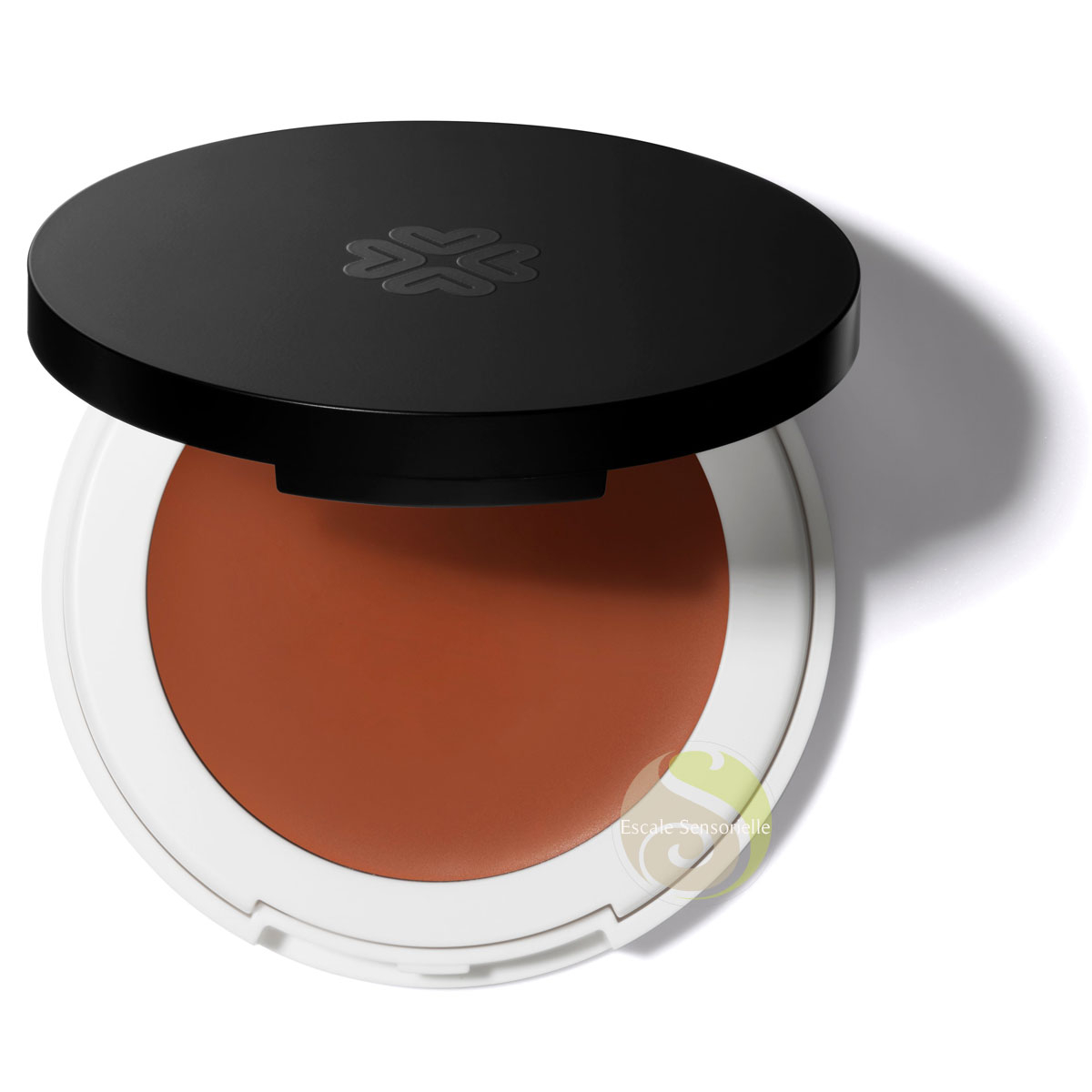 Correcteur de teint crème Aria pour imperfections, tâches, boutons et cernes