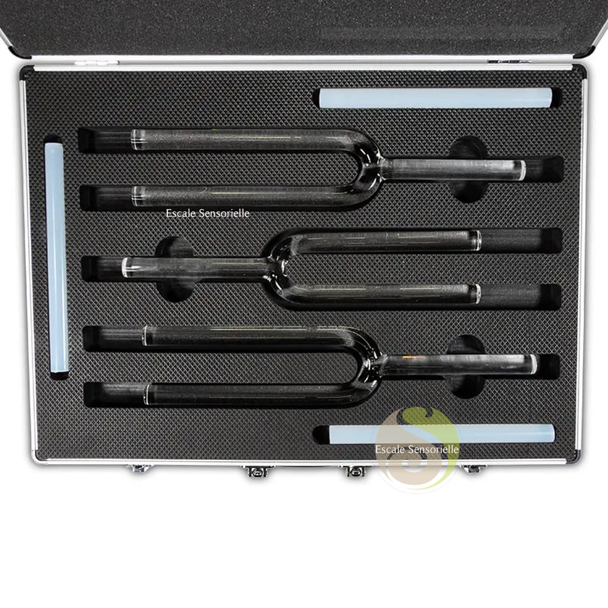 Diapason cristal 440hz avec coffret métallique rembourré pour ...