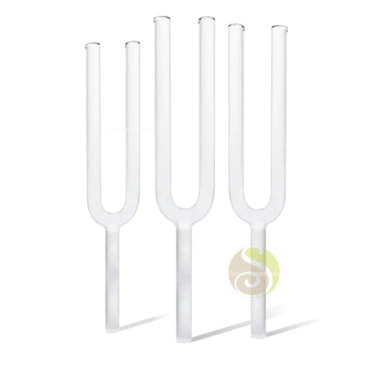 Diapason cristal 440hz dans son coffret de transport
