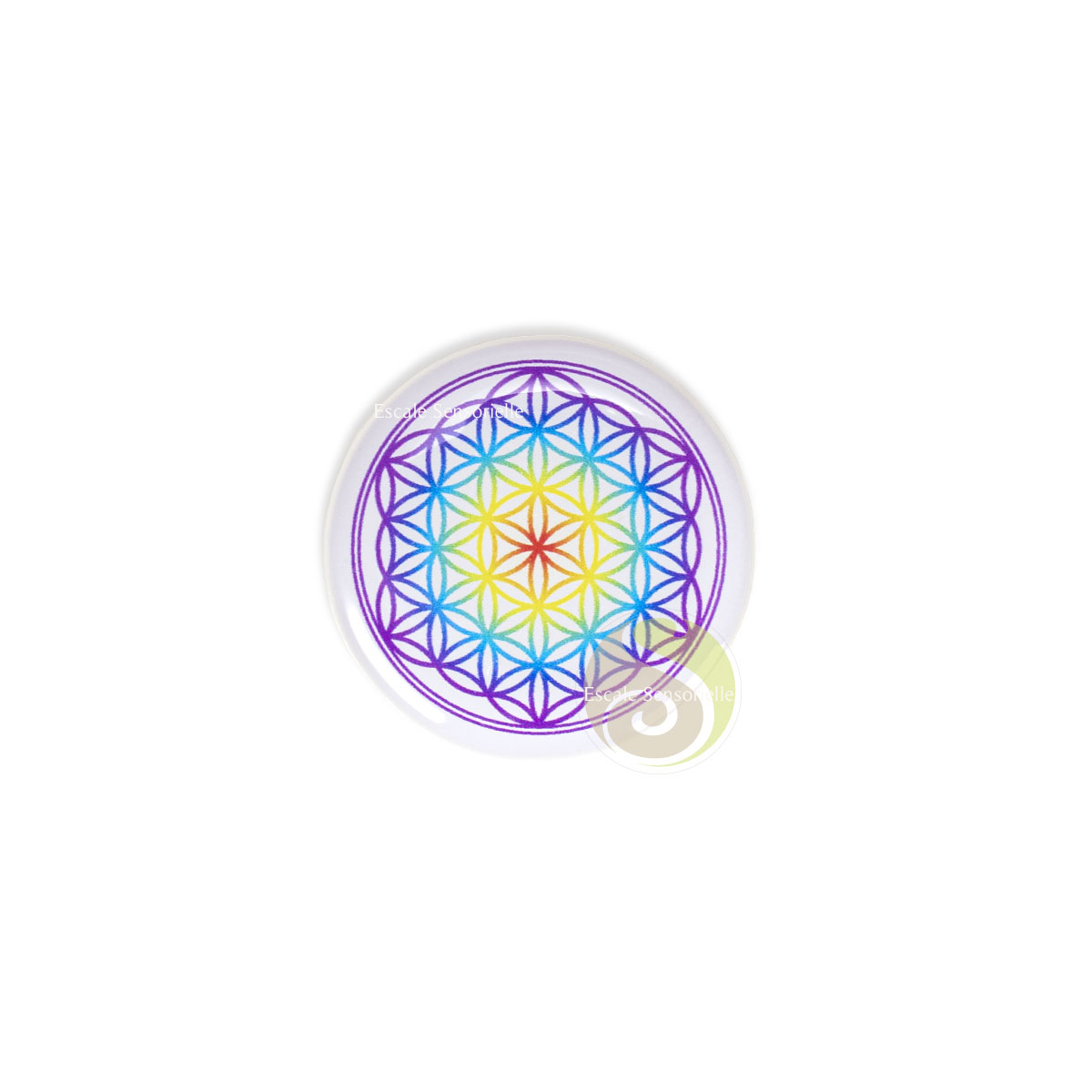 Décalcomanie 3D fleur de vie multicolore autocollant