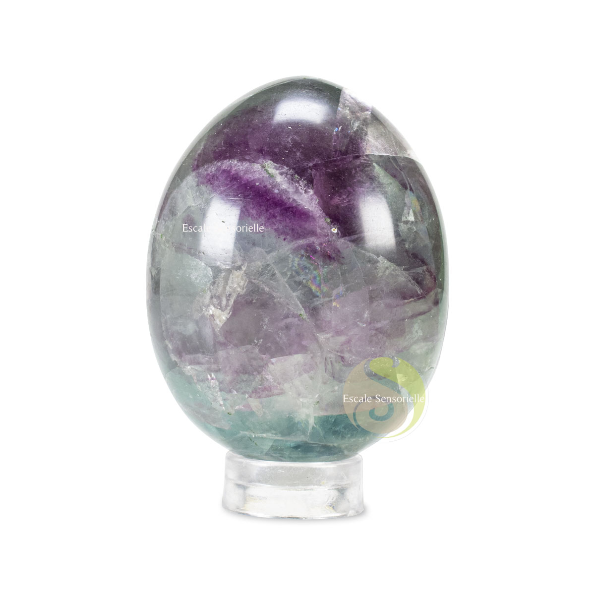 Oeuf fluorite pierre de méditation naturelle lithothérapie