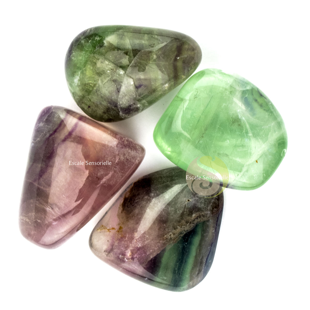 Fluorite pierre roulée minérale collection lithotérapie concentration