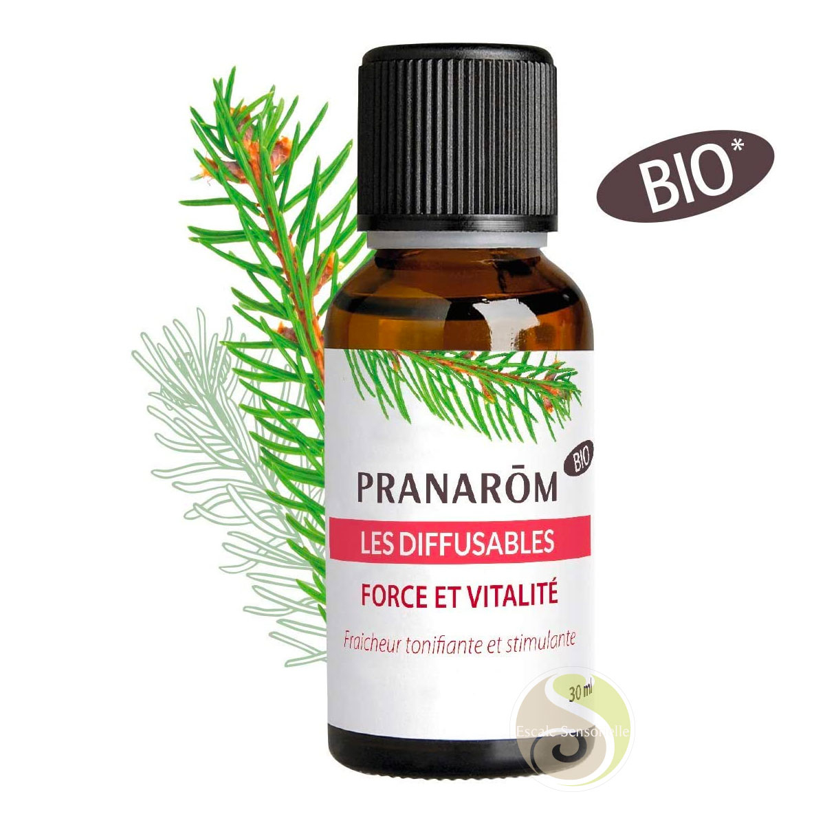 Force et vitalité Pranarôm Pin ravintsara mélange synergie bio Les diffusables