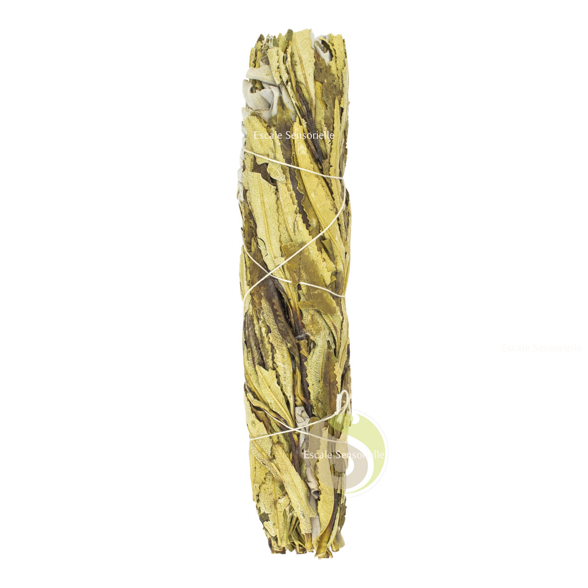 Bâton Yerba Santa et sauge banche  pour rituels chamaniques