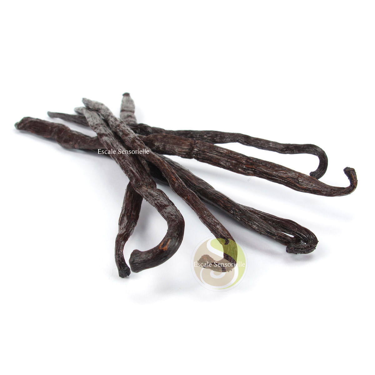 Bourbon Madagascar vanille premium 20cm recette bienfaits vertus