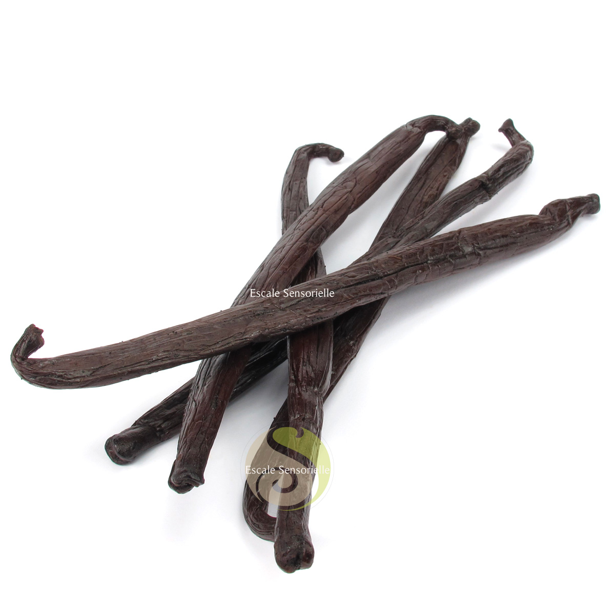 Gousses de vanille Tahiti grand cru 17 cm