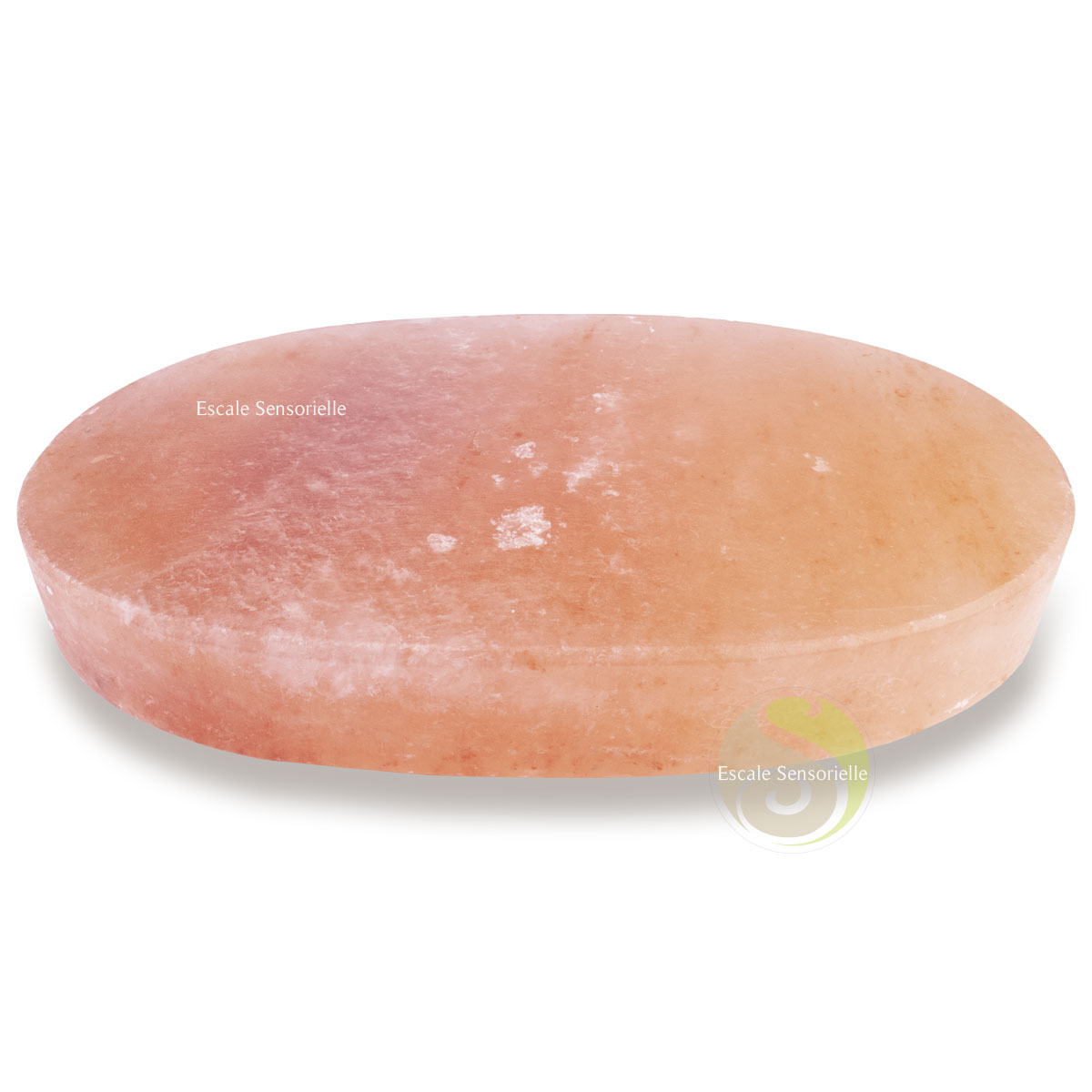 Plancha sel Himalaya cuisson saine BBQ  barbecue présentation cuisine