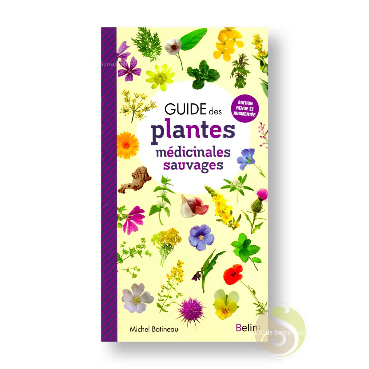 Guide des plantes médicinales sauvages de Michel Botineau