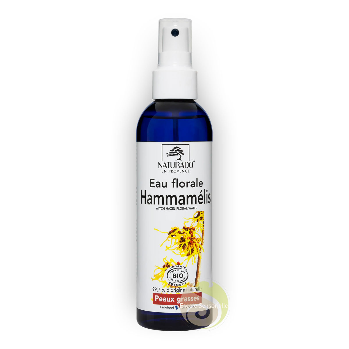 Hamamélis eau florale Naturado hydrolat Bio bienfaits circulation sanguine