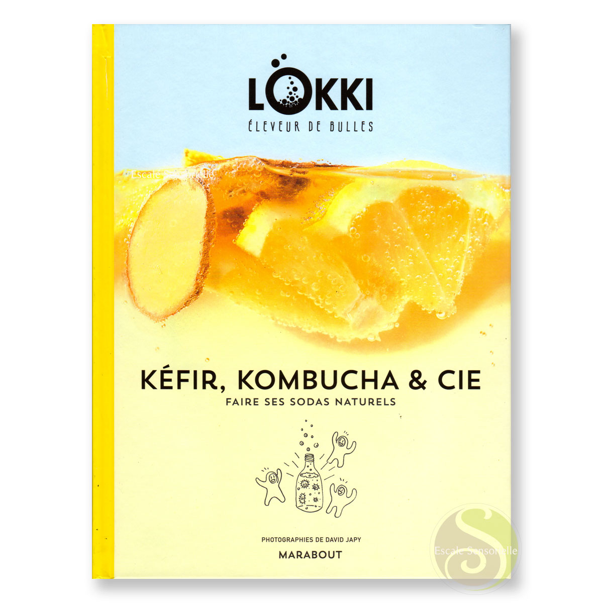 Kéfir, kombucha boissons sodas gazeuses naturelles