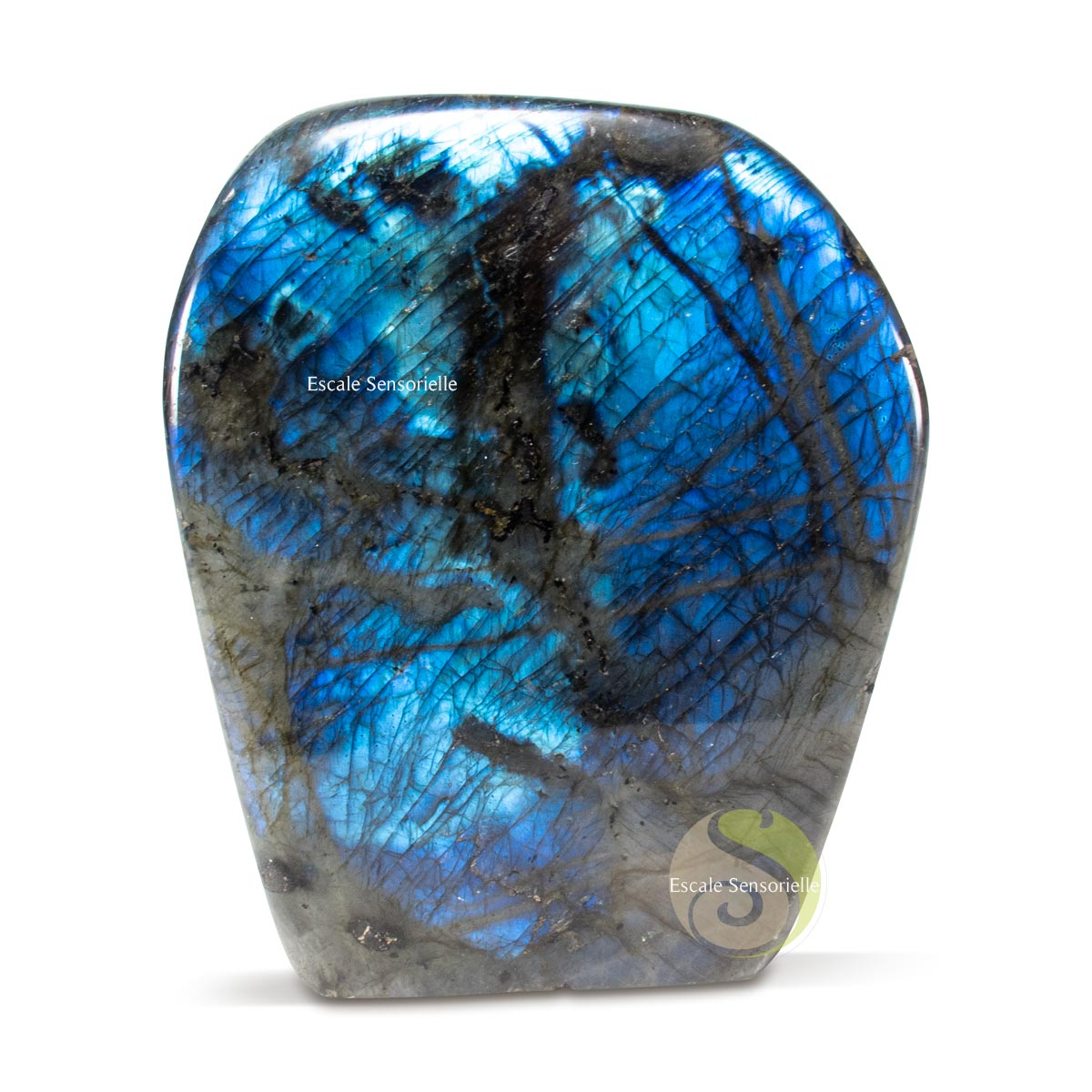 Morceau brut de labradorite pierre minérale de protection contre les ondes négatives