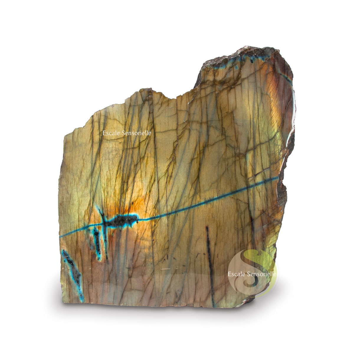 Grosse labradorite brut pierre minérale collection lithothérapie