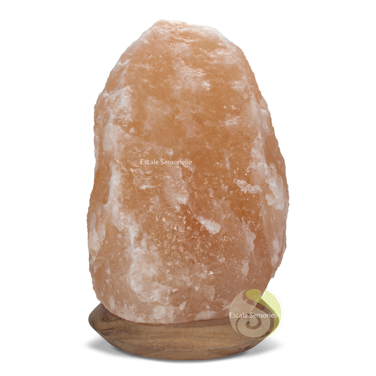 lampe sel brut naturel d'Himalaya de 27,5 cm de hauteur