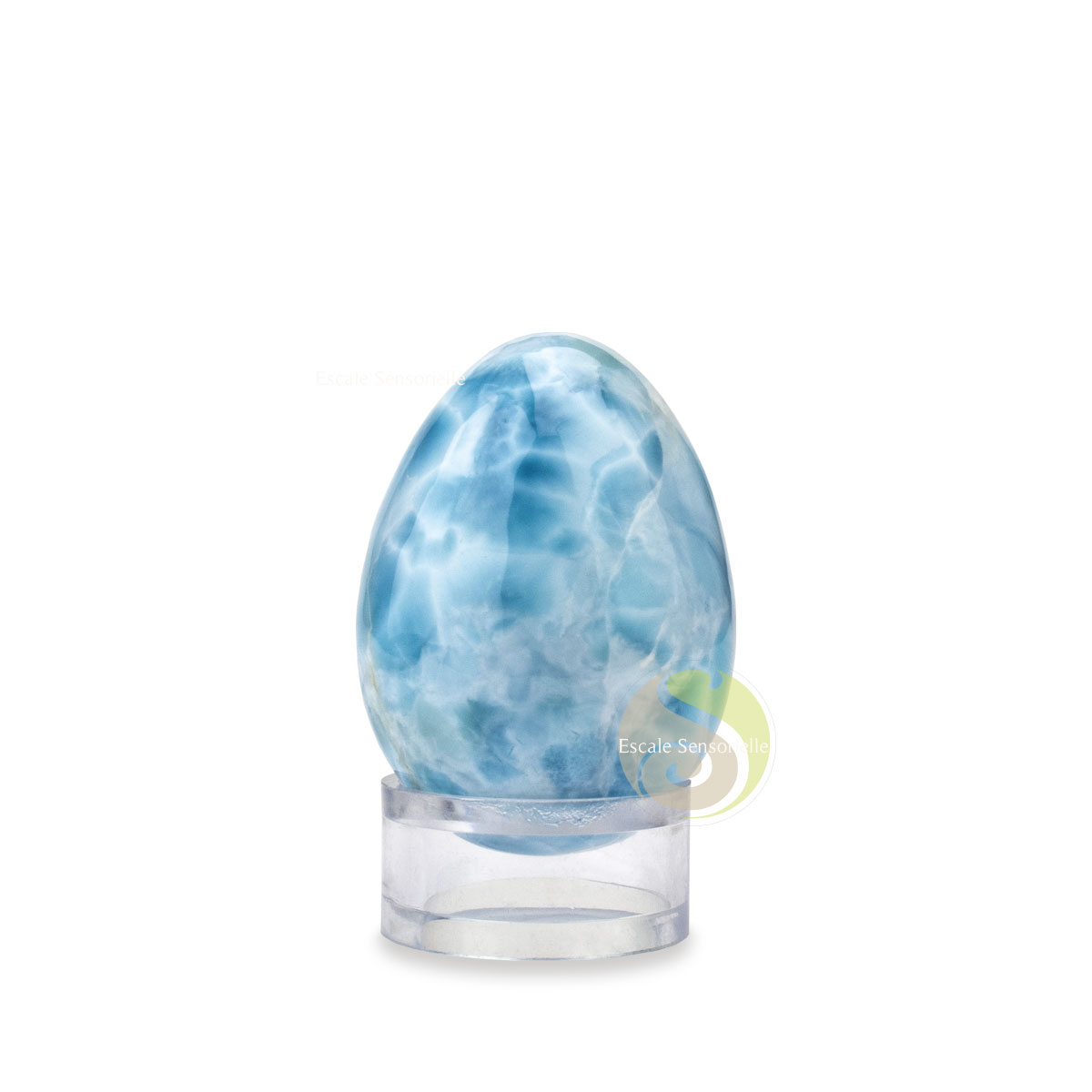 Pierre polie Larimar oeuf collection pièce unique bleu mer turquoise