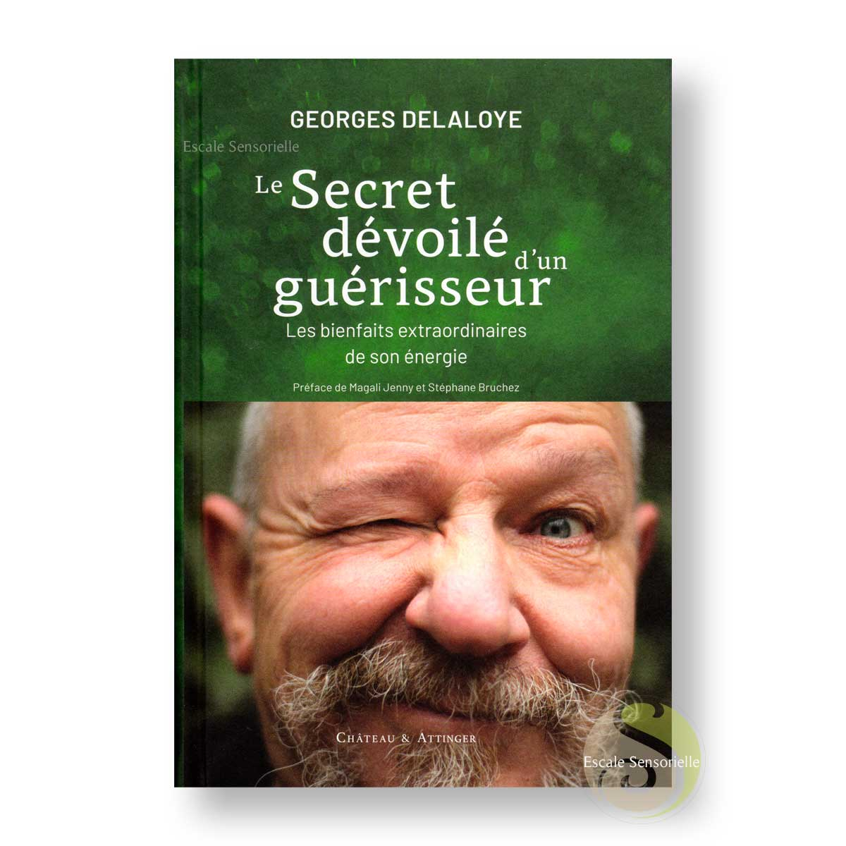 Le secret dévoilé d'un guérisseur de Georges Delaloye