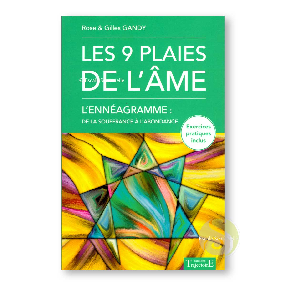 Les 9 plaies de l'âme de Rose et Gilles Gandy
