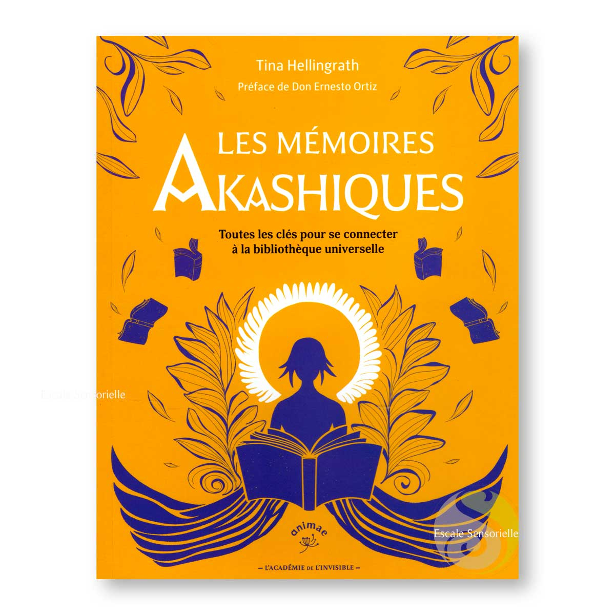 Les mémoires akashiques Tina Hellingrath