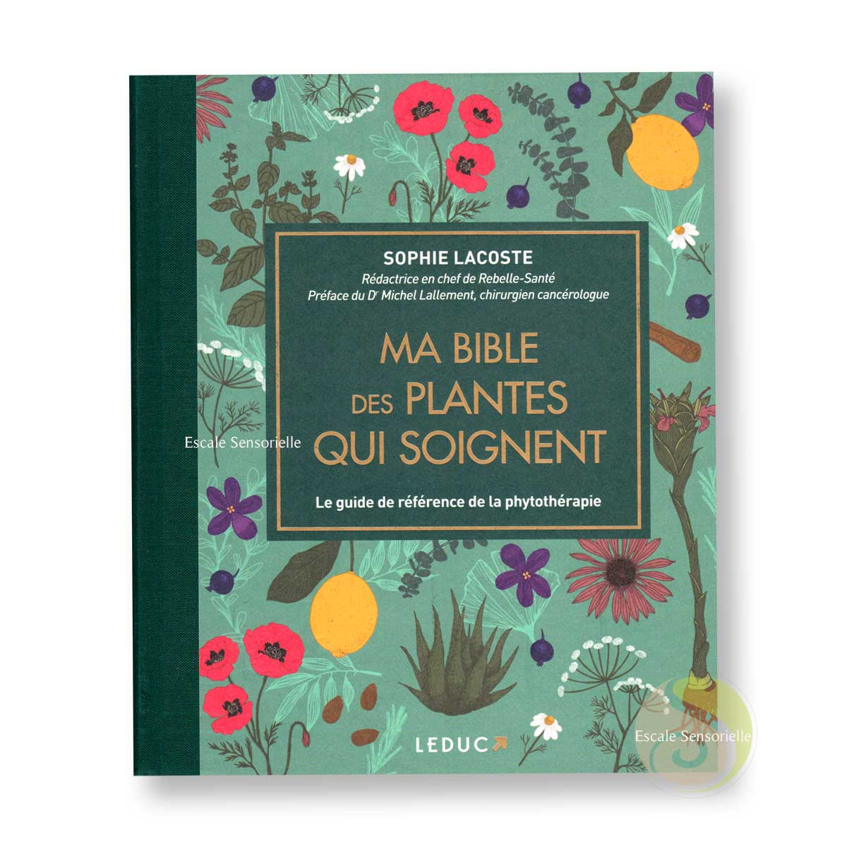Ma bible des plantes qui soignent Sophie Lacoste