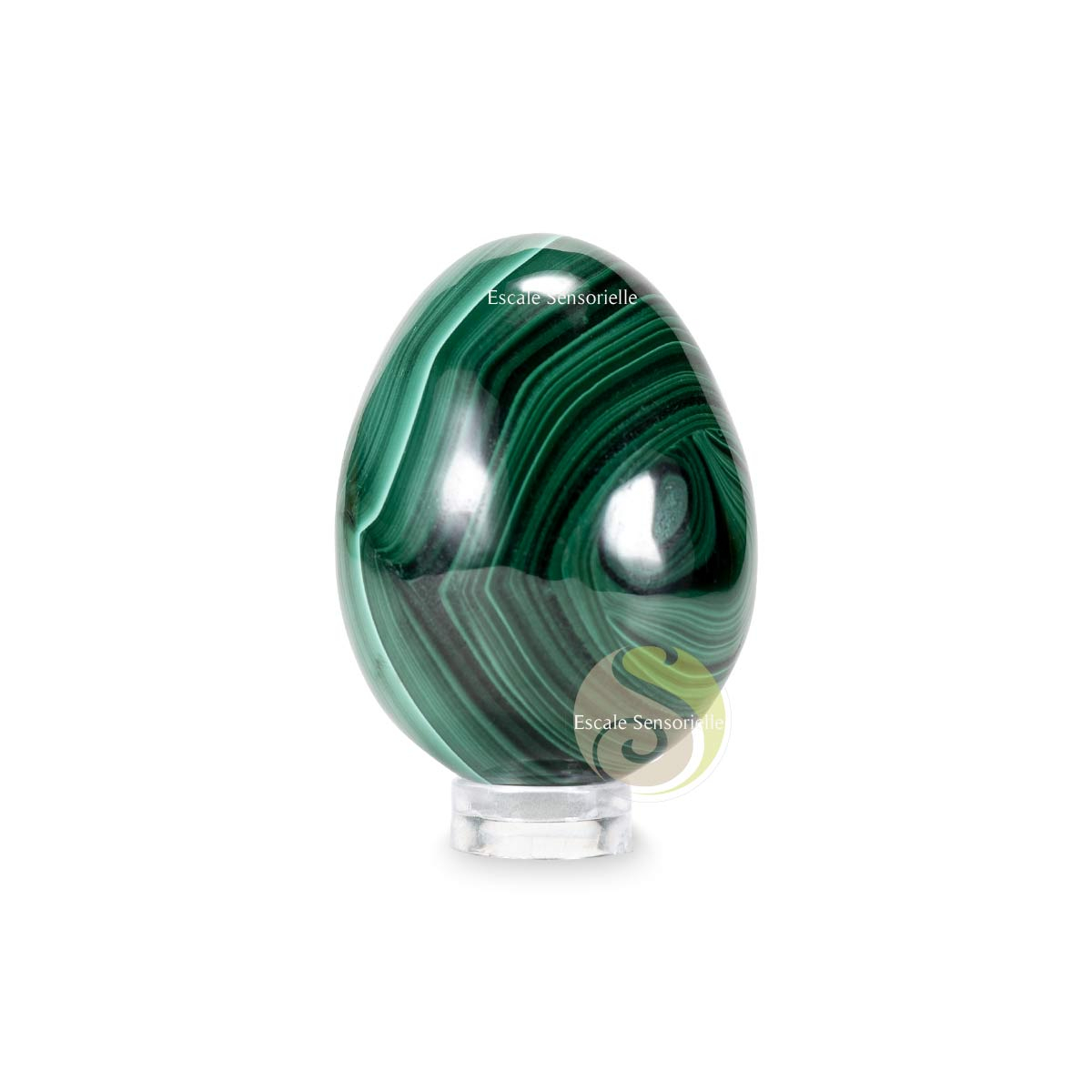 Oeuf en malachite pierre aux nuances de vert clair à foncé