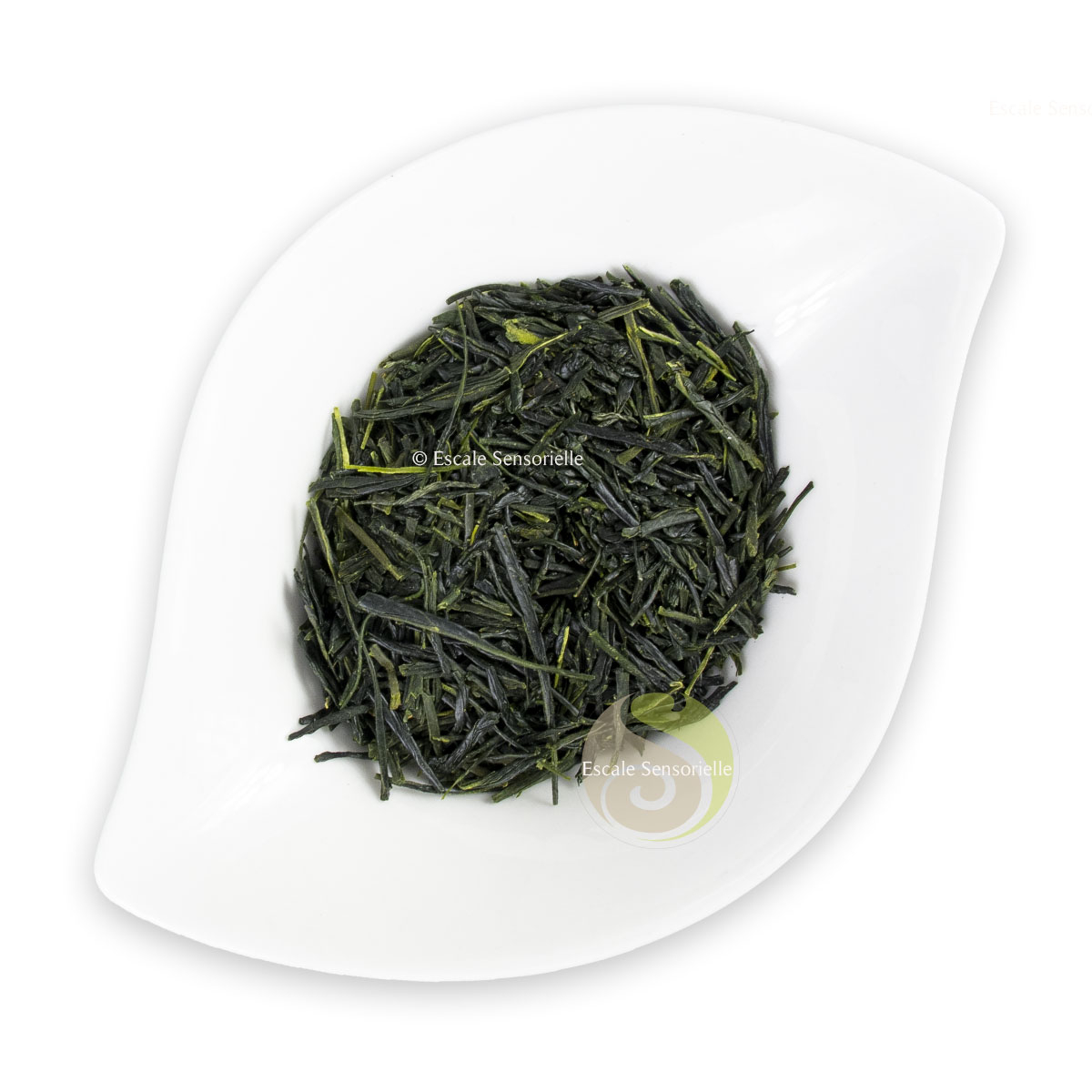 Thé vert haut de gamme bio gyokuro japonais Minori