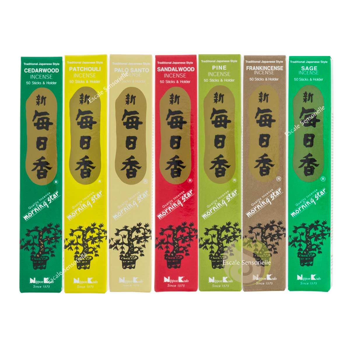 Collection 7 fragrances boisées Morning star 50 sticks avec support céramique