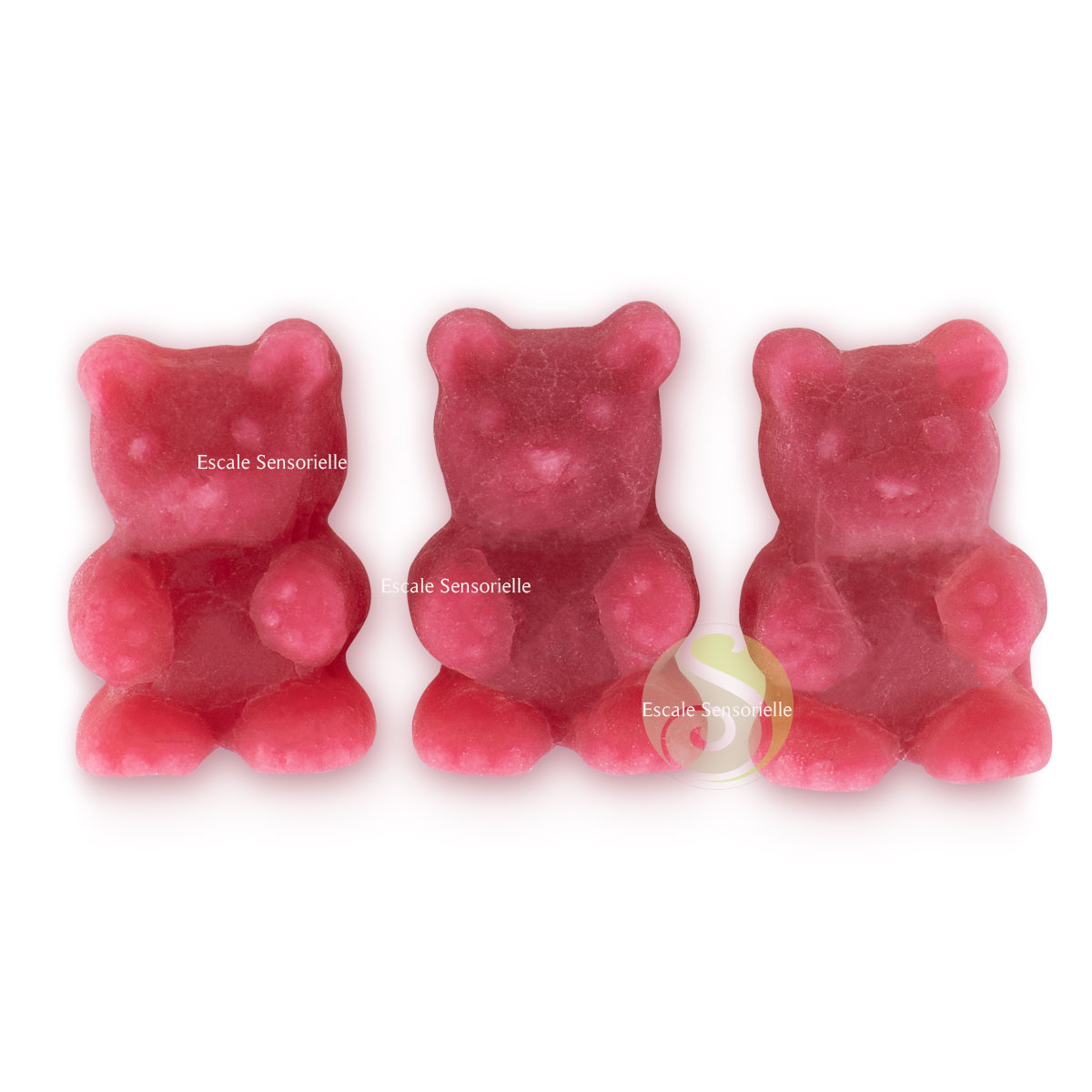 Fraise infusion câline bio à infuser ou à croquer