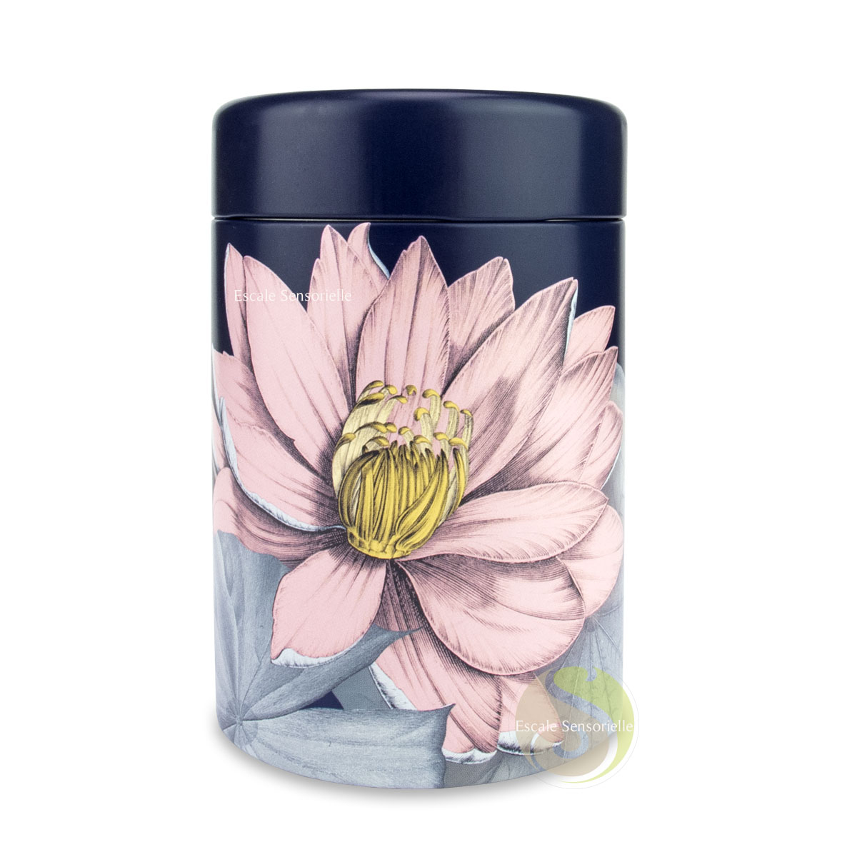 Boite thé teaeve padma blue métal design conservation achat