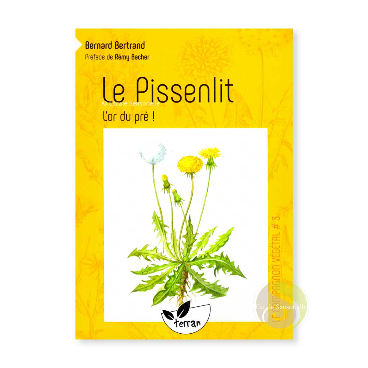 Le pissenlit, l'or des prés de Bernard Bertrand 