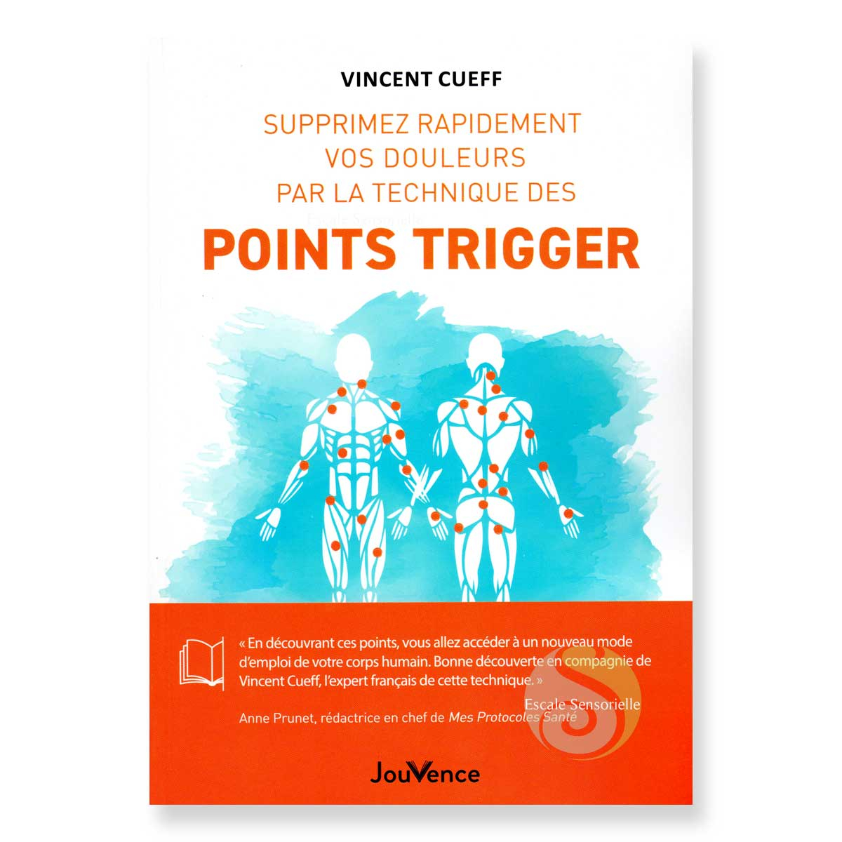 Supprimer rapidement vos douleurs - Les points Trigger Vincent Cueff