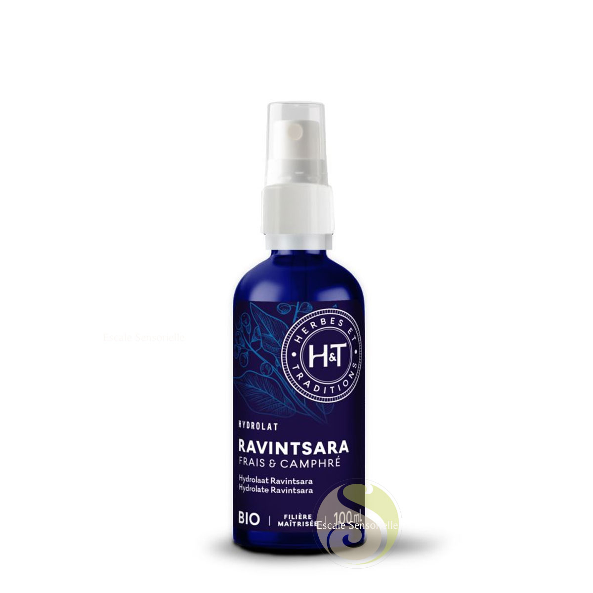 Ravintsara bio hydrolat frais et camphré 100 ml Herbes et Traditions