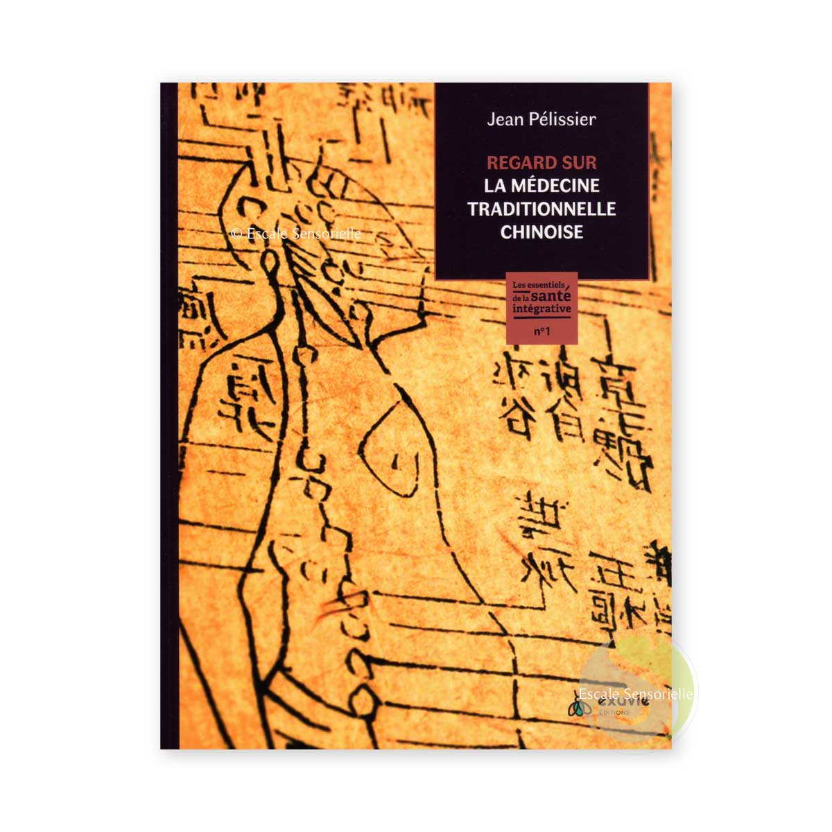 Regard sur la médecine traditionnelle chinoise jean Pélissier