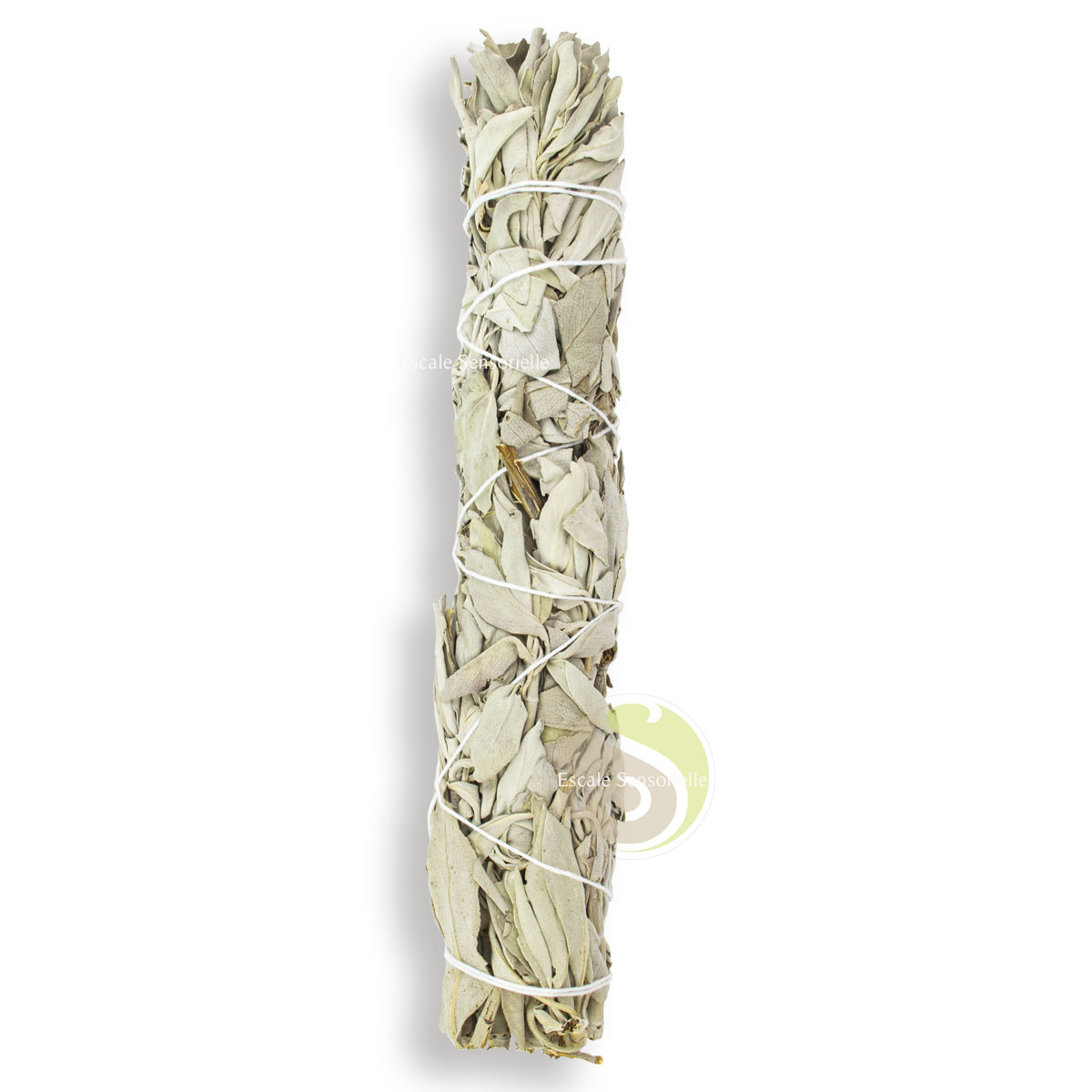 Bâton sauge blanche grand format pour purification