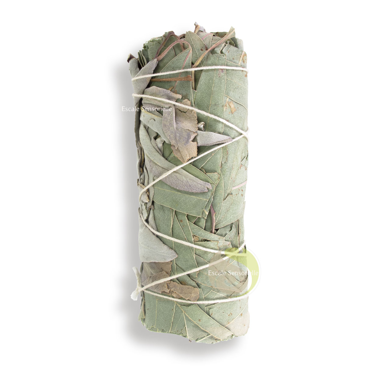 Bâton de sauge et d'eucalyptus pour purifier et nettoyer un lieu