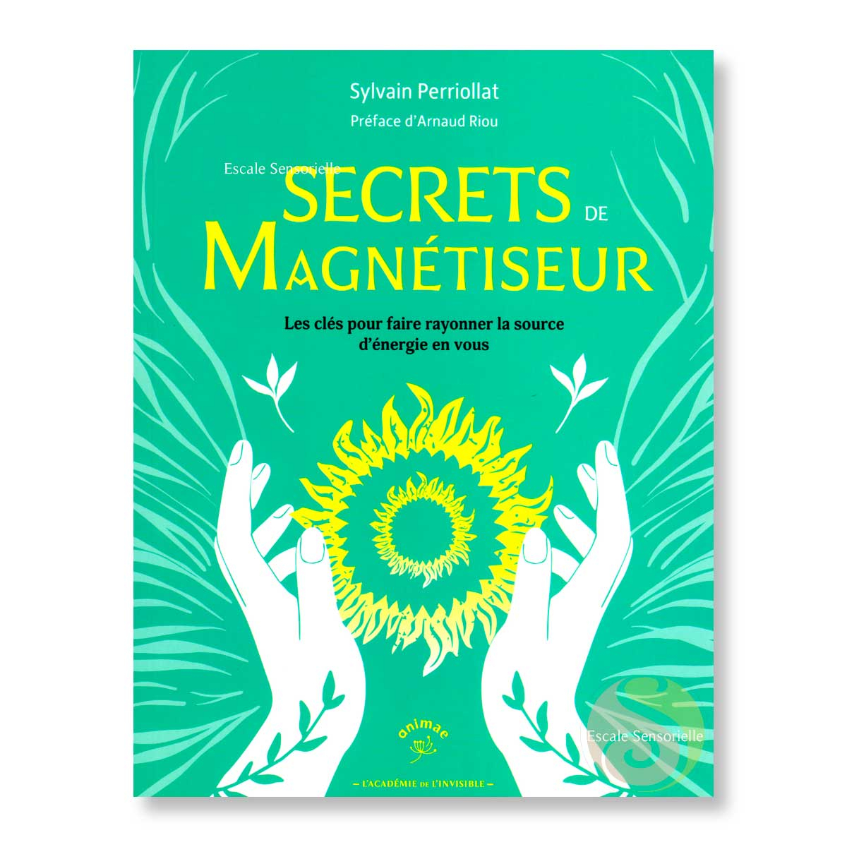 Secrets de magnétiseur par Sylvain Perriollat