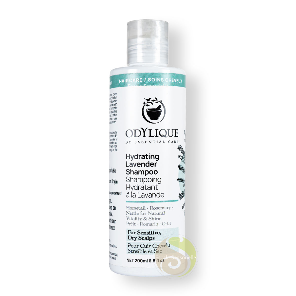 Shampoing hydratant à la lavande bio Odylique pour cuir chevelu sensible et sec