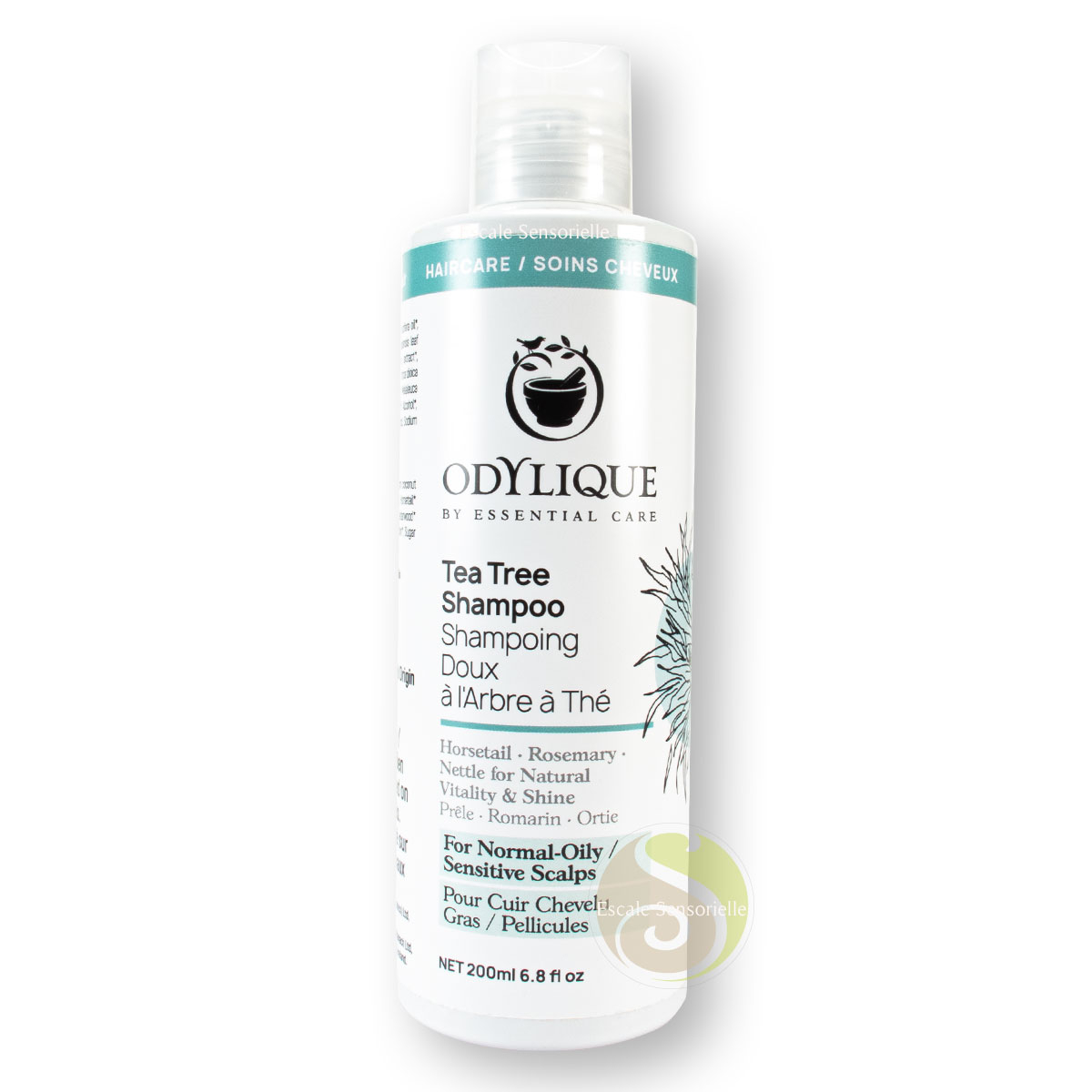 Shampooing bio arbre à thé Odylique pellicules, cheveux gras, démangeaisons