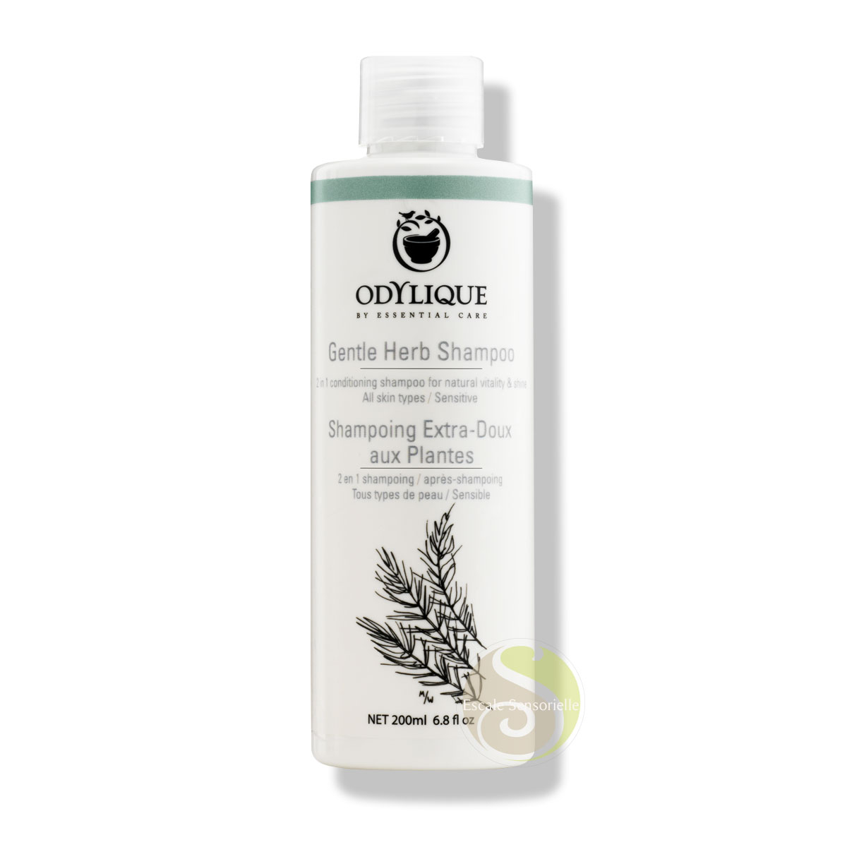 Shampoing Bio shampooing Odylique cuir chevelu sensible démangeaisons
