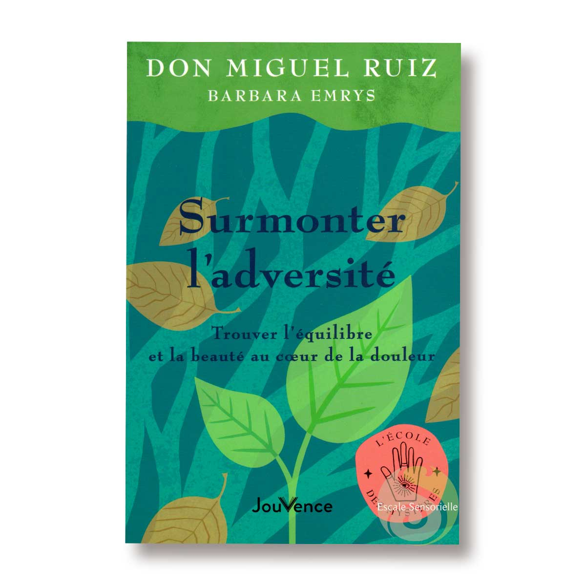 Surmonter l'adversité Don Miguel Ruiz Édition Jouvence
