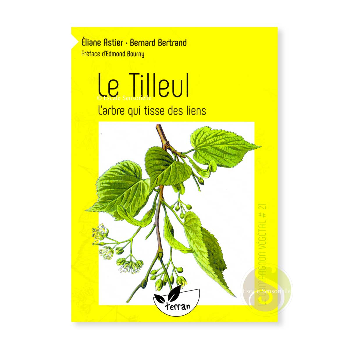 Le tilleul, l'arbre qui tisse des liens de Bernard Bertrand et Éliane Astier