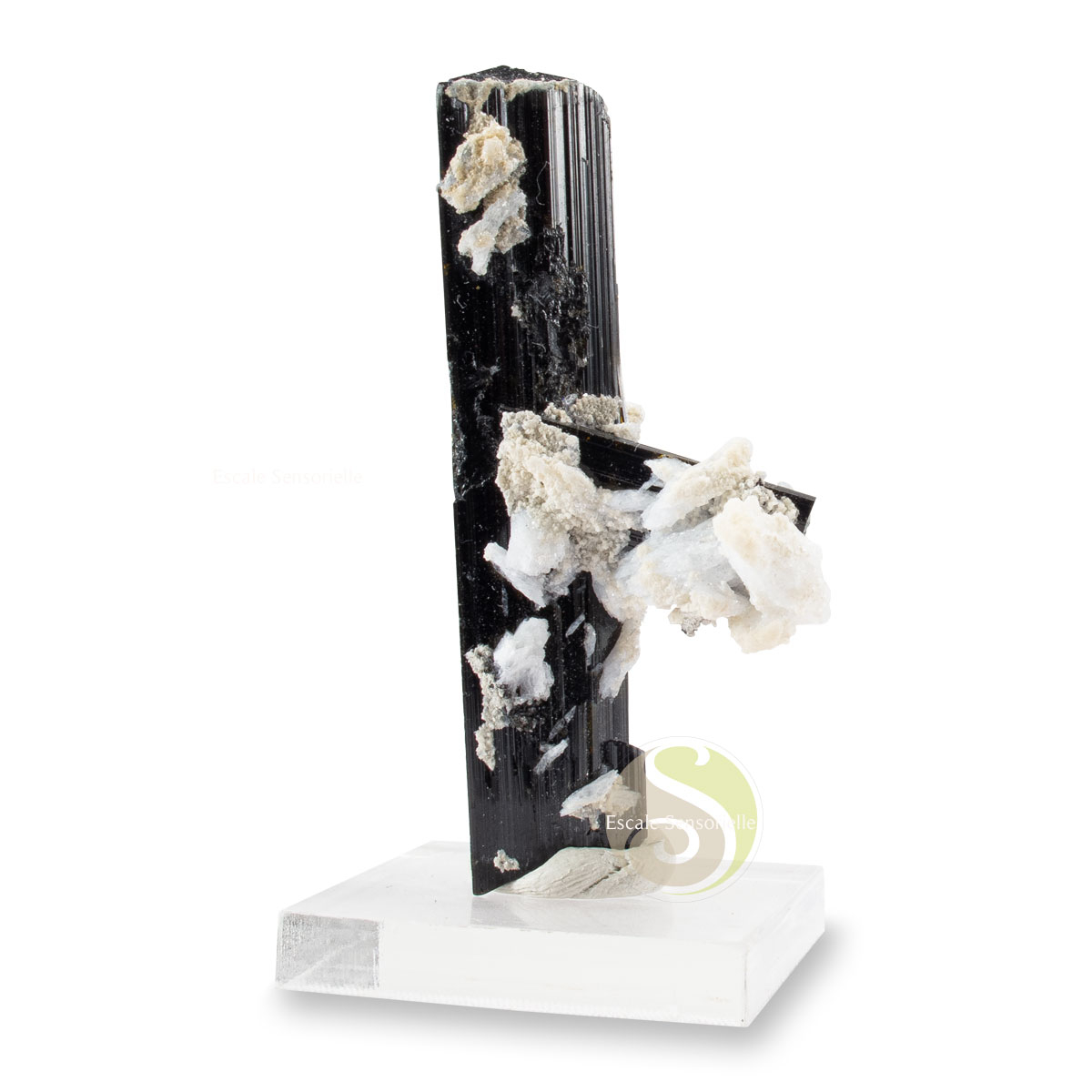 Pièce unique tourmaline noire incrustée dans cristal de roche collection