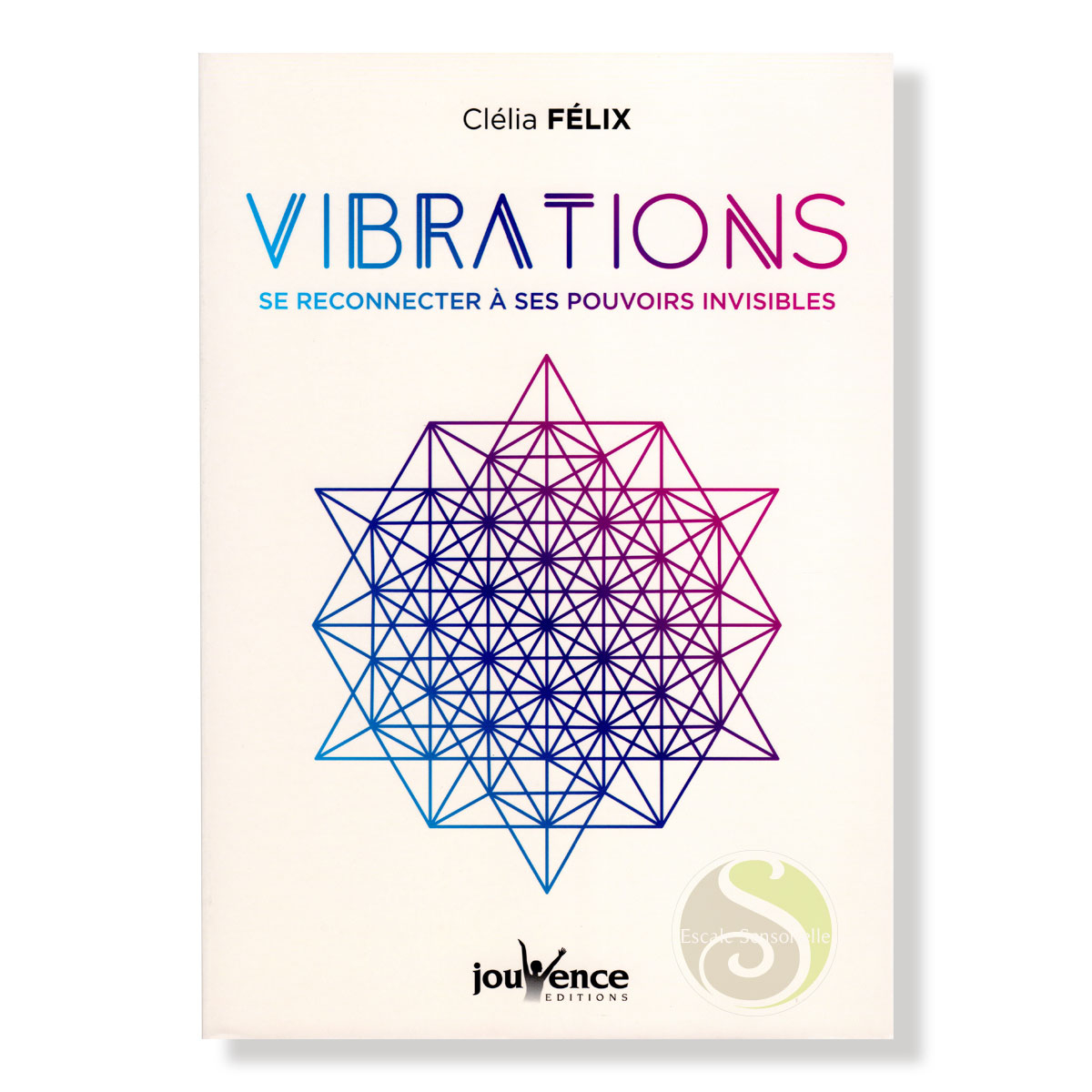 Vibrations se reconnecter à ses pouvoirs invisibles Clélia Félix