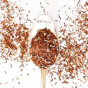 Rooibos