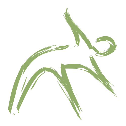 Posture-yoga-triangle-pose-icon