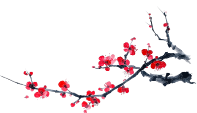 Branche de cerisier en fleurs