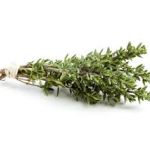 Branches de thym