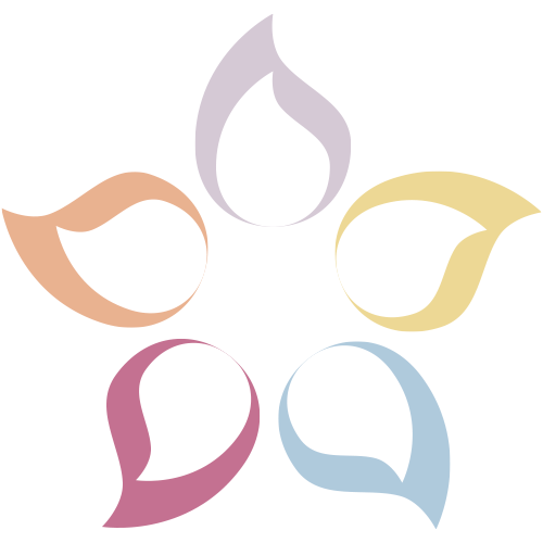 Icon 5 sens
