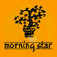 Morning Star Ambre