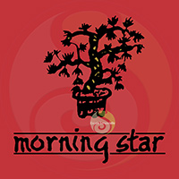 Morning Star Bois de Santal