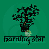 Morning Star Cèdre